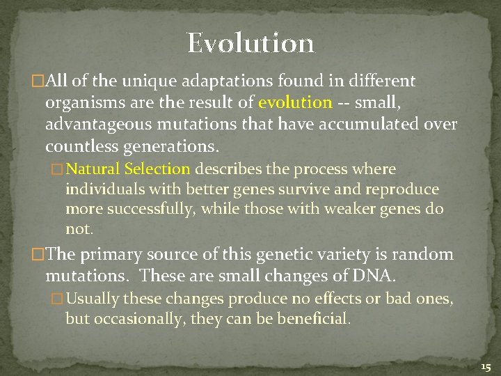 Evolution �All of the unique adaptations found in different organisms are the result of