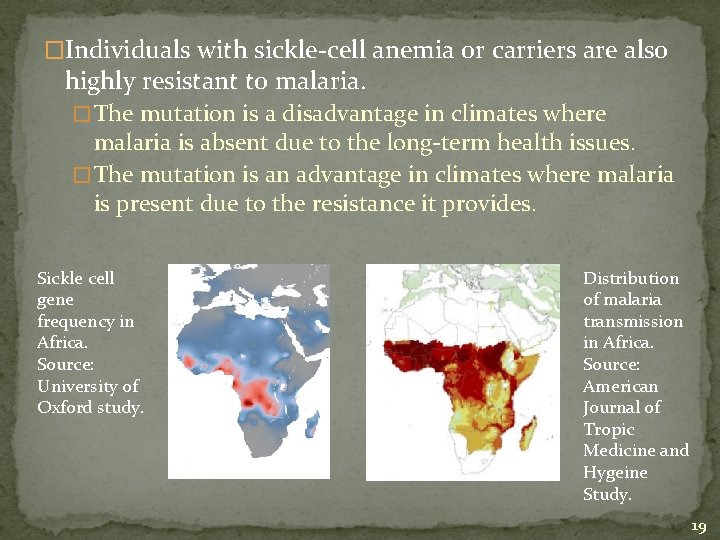 �Individuals with sickle-cell anemia or carriers are also highly resistant to malaria. � The