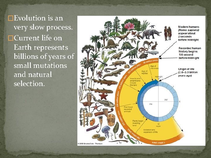 �Evolution is an very slow process. �Current life on Earth represents billions of years