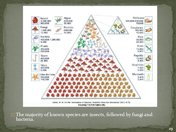 � The majority of known species are insects, followed by fungi and bacteria. 29