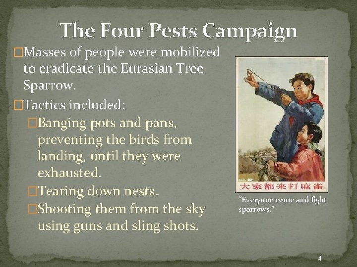 The Four Pests Campaign �Masses of people were mobilized to eradicate the Eurasian Tree