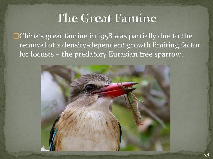 The Great Famine �China’s great famine in 1958 was partially due to the removal