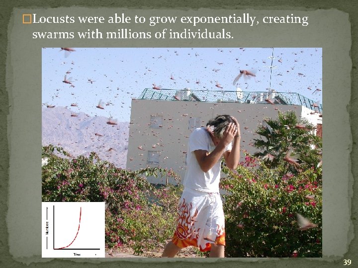 �Locusts were able to grow exponentially, creating swarms with millions of individuals. 39 