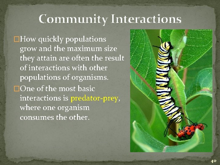 Community Interactions �How quickly populations grow and the maximum size they attain are often