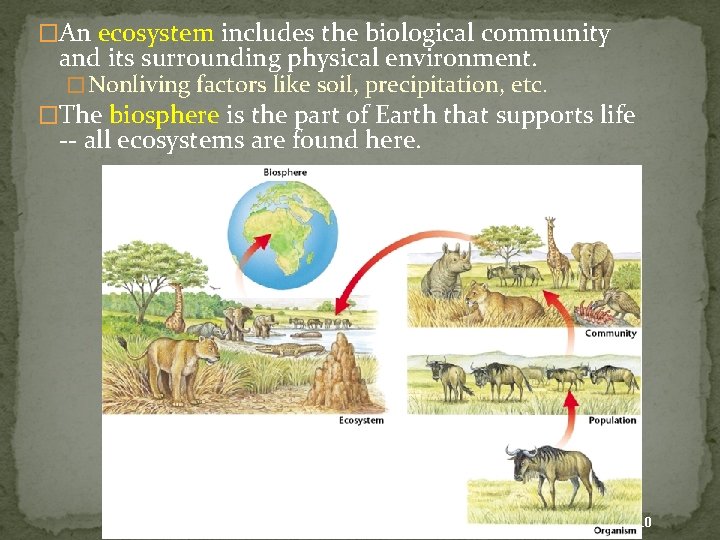 �An ecosystem includes the biological community and its surrounding physical environment. � Nonliving factors