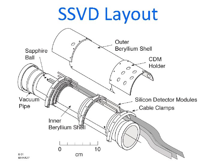 SSVD Layout 