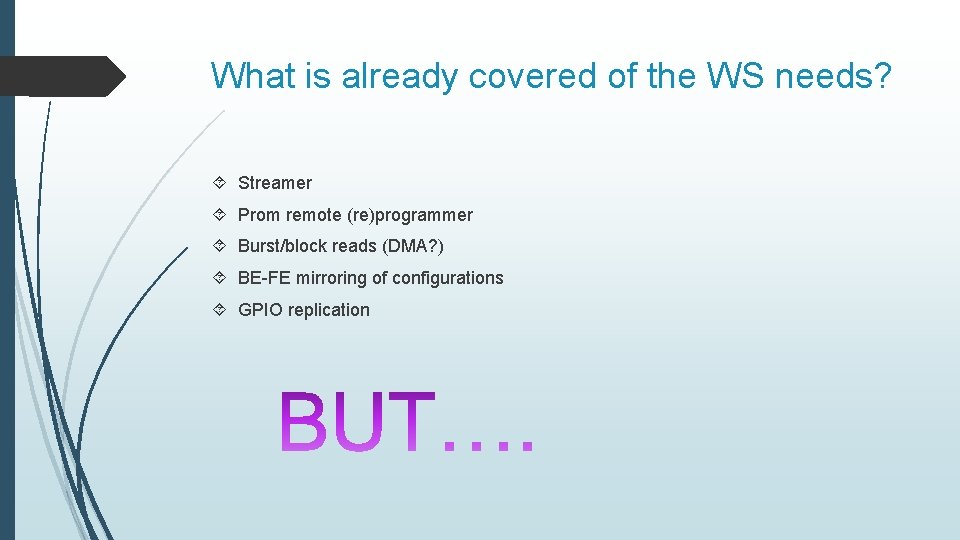 What is already covered of the WS needs? Streamer Prom remote (re)programmer Burst/block reads
