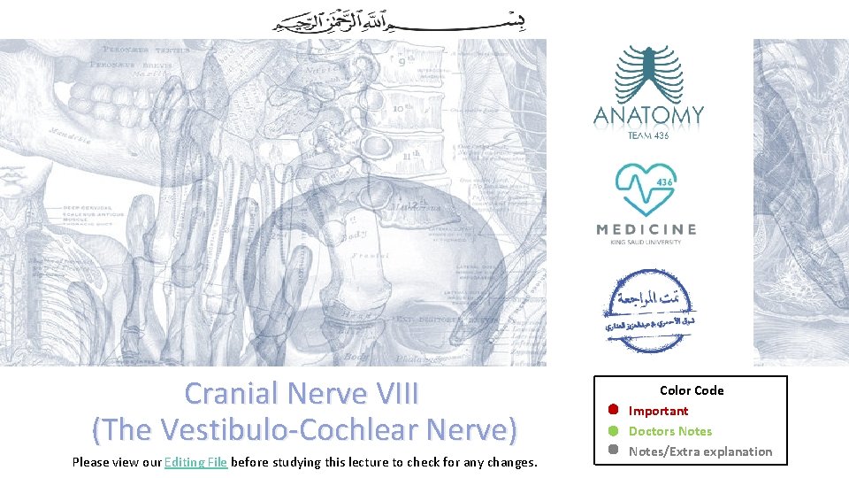 Cranial Nerve VIII (The Vestibulo-Cochlear Nerve) Please view our Editing File before studying this