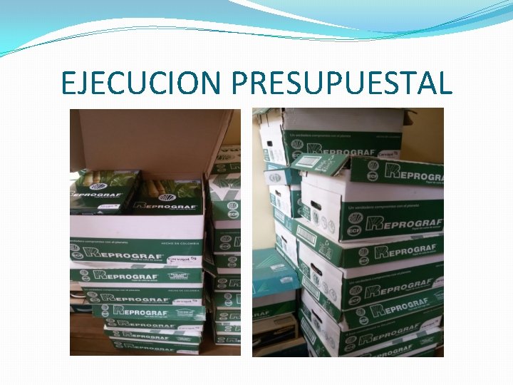 EJECUCION PRESUPUESTAL 