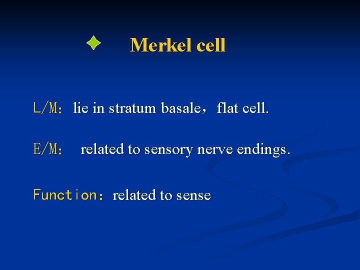 Merkel cell L/M：lie in stratum basale，flat cell. E/M： related to sensory nerve endings. Function：related