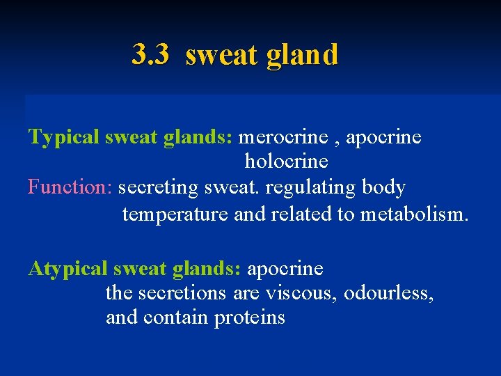 3. 3 sweat gland Typical sweat glands: merocrine , apocrine holocrine Function: secreting sweat.