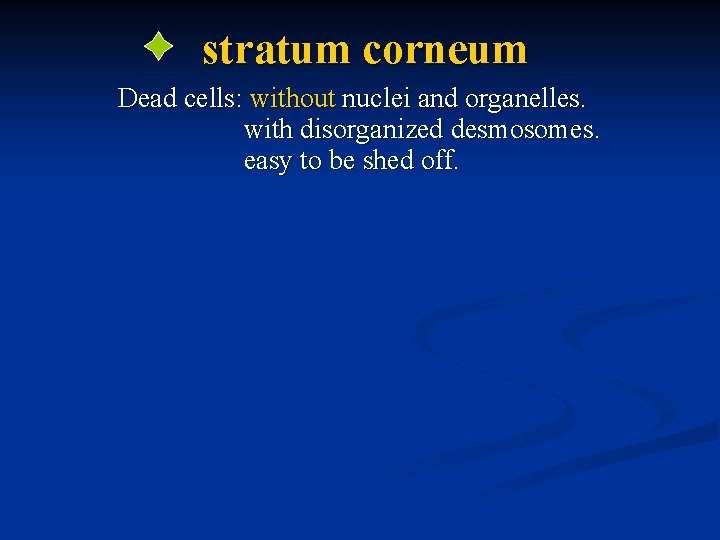 stratum corneum Dead cells: without nuclei and organelles. with disorganized desmosomes. easy to be