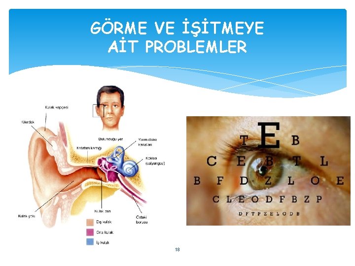 GÖRME VE İŞİTMEYE AİT PROBLEMLER 18 