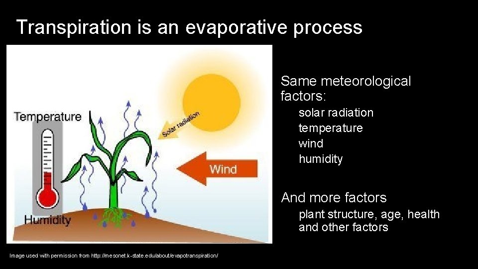 Transpiration is an evaporative process Same meteorological factors: solar radiation temperature wind humidity And