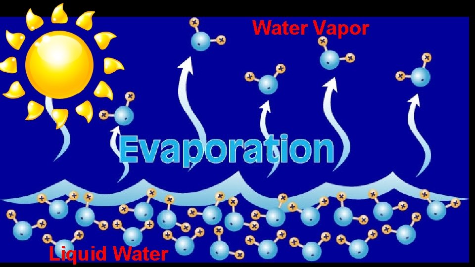 Water Vapor Liquid Water 