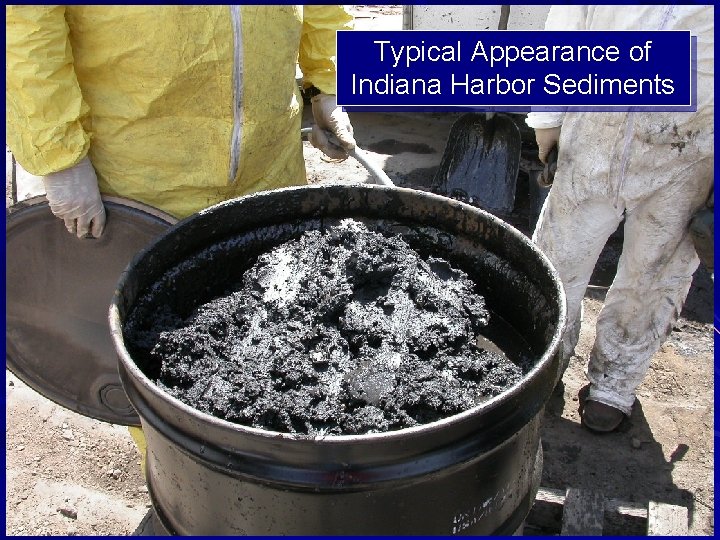 Typical Appearance of Indiana Harbor Sediments 