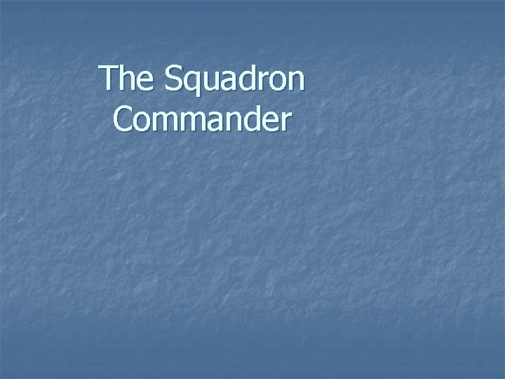 The Squadron Commander 