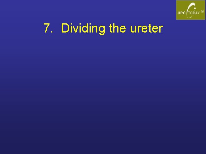 7. Dividing the ureter 