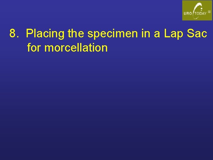 8. Placing the specimen in a Lap Sac for morcellation 