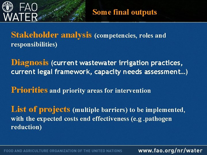 Some final outputs Stakeholder analysis (competencies, roles and responsibilities) Diagnosis (current wastewater irrigation practices,