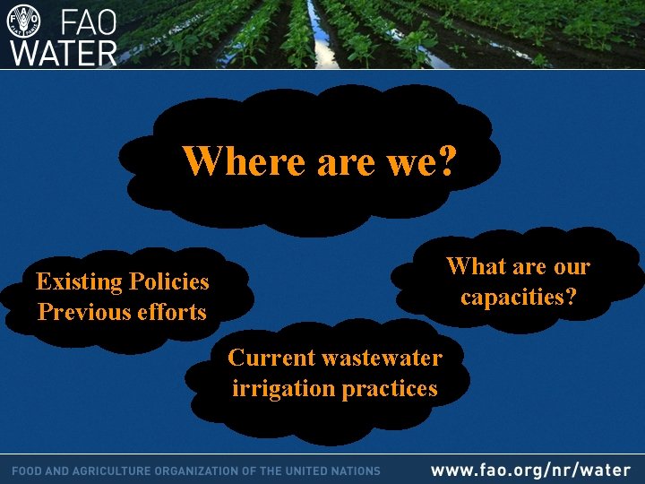 Where are we? What are our capacities? Existing Policies Previous efforts Current wastewater irrigation