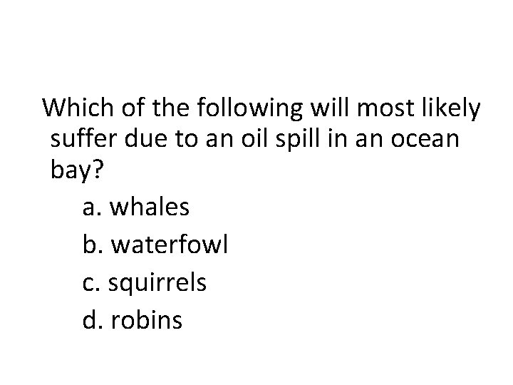 Which of the following will most likely suffer due to an oil spill in