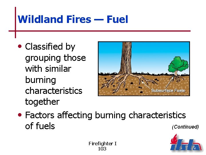 Wildland Fires — Fuel • Classified by grouping those with similar burning characteristics together