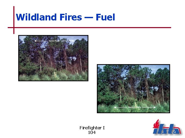 Wildland Fires — Fuel Firefighter I 104 