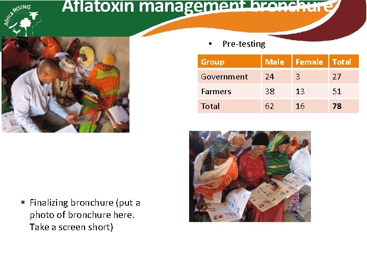 Mitigating Aflatoxin in Tanzanian through advocacy and awareness