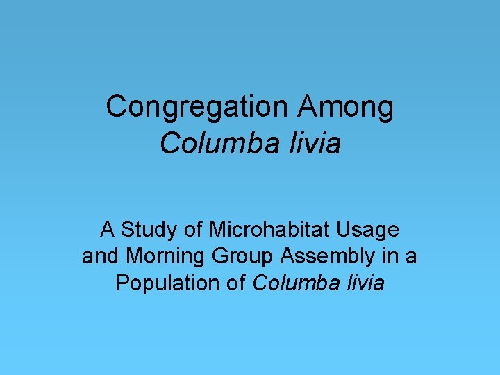 Congregation Among Columba livia A Study of Microhabitat Usage and Morning Group Assembly in