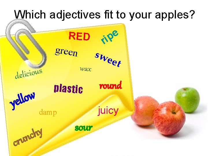Which adjectives fit to your apples? s u o i c i l de Which adjectives fit to your apples? s u o i c i l de