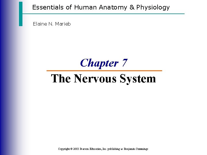 Essentials of Human Anatomy & Physiology Elaine N. Marieb Chapter 7 The Nervous System