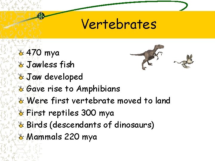 Vertebrates 470 mya Jawless fish Jaw developed Gave rise to Amphibians Were first vertebrate