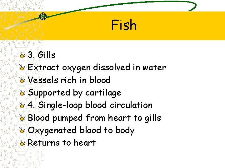 Fish 3. Gills Extract oxygen dissolved in water Vessels rich in blood Supported by