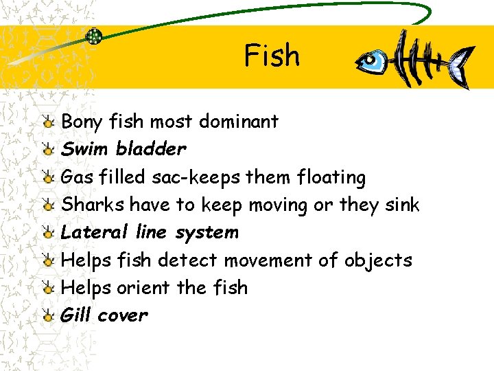 Fish Bony fish most dominant Swim bladder Gas filled sac-keeps them floating Sharks have