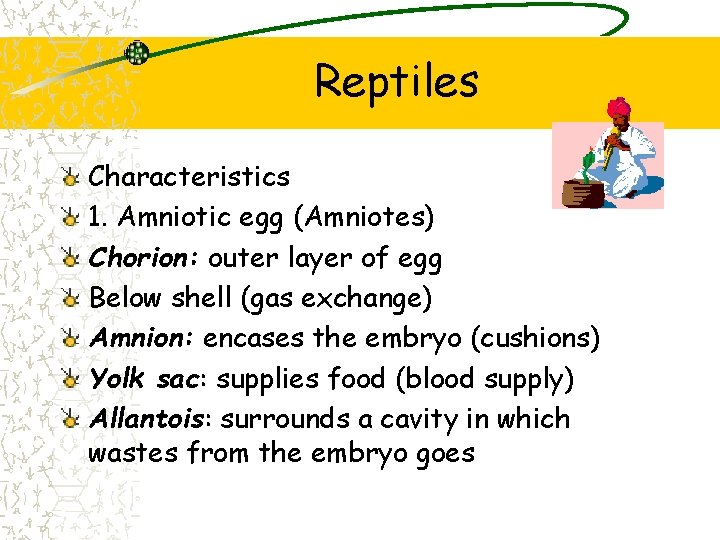 Reptiles Characteristics 1. Amniotic egg (Amniotes) Chorion: outer layer of egg Below shell (gas