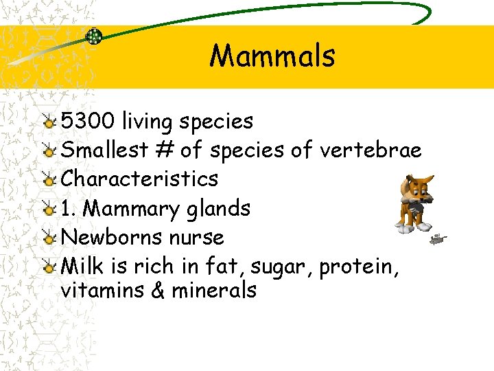 Mammals 5300 living species Smallest # of species of vertebrae Characteristics 1. Mammary glands