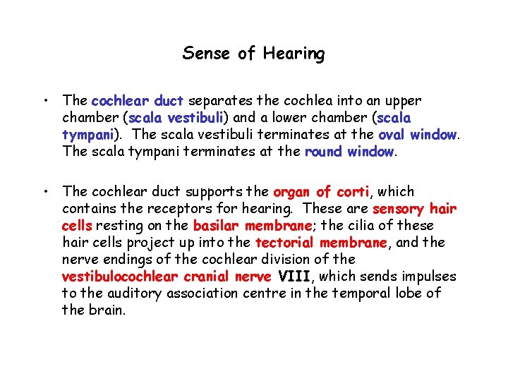 Sense of Hearing • The cochlear duct separates the cochlea into an upper chamber
