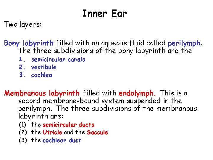 Two layers: Inner Ear Bony labyrinth filled with an aqueous fluid called perilymph. The