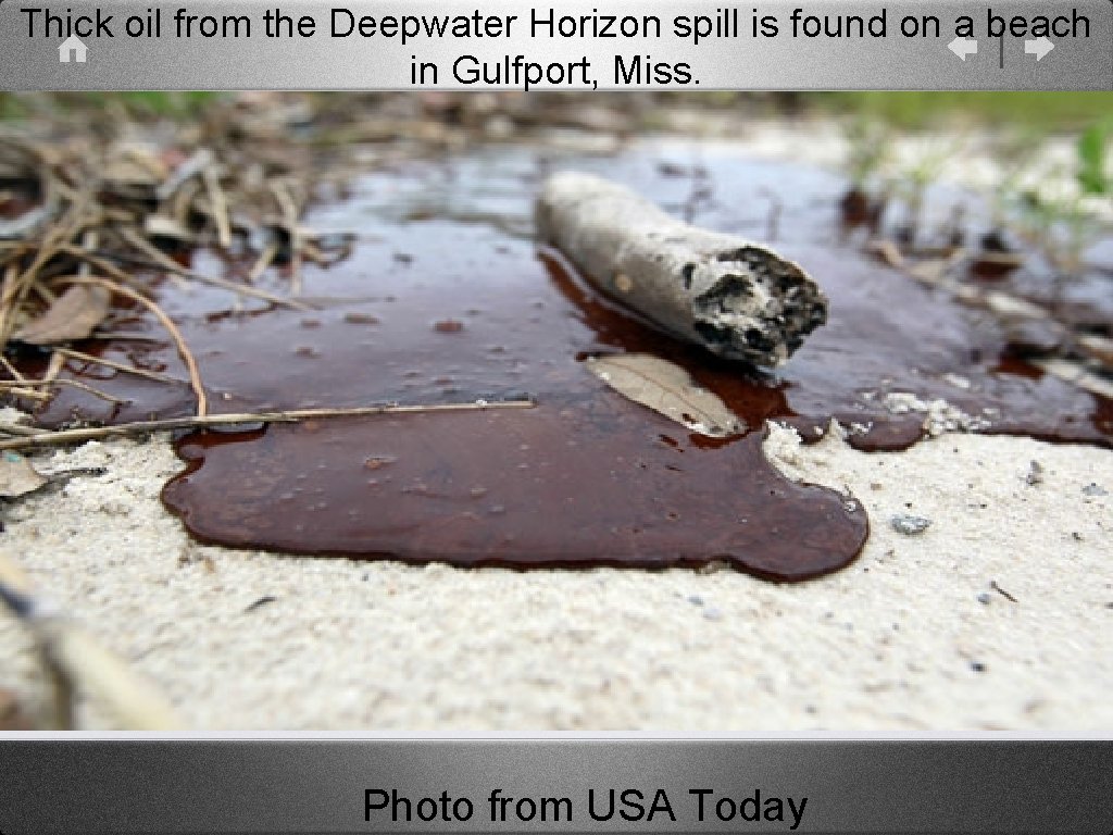 Thick oil from the Deepwater Horizon spill is found on a beach in Gulfport,