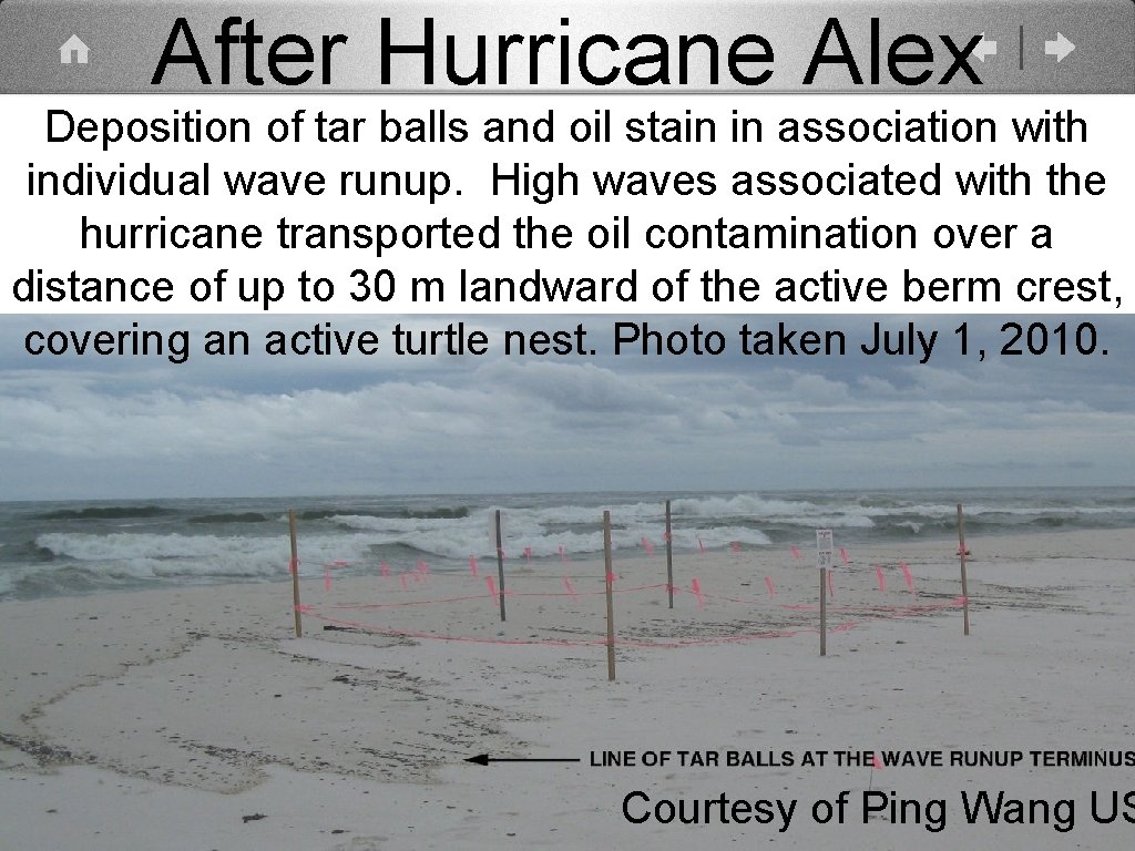 After Hurricane Alex Deposition of tar balls and oil stain in association with individual