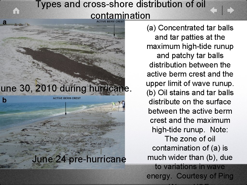 Types and cross-shore distribution of oil contamination June 30, 2010 during hurricane. June 24