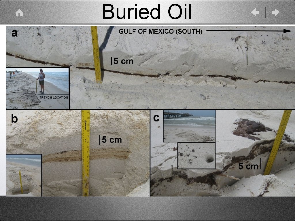 Buried Oil 