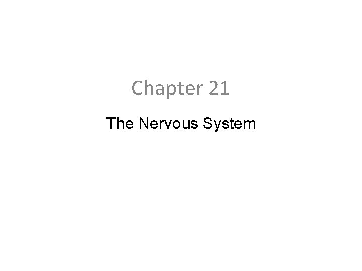 Chapter 21 The Nervous System 