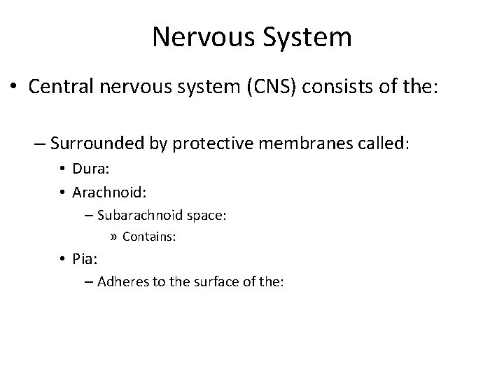 Nervous System • Central nervous system (CNS) consists of the: – Surrounded by protective