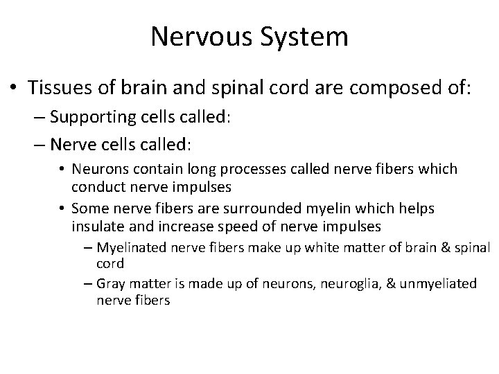 Nervous System • Tissues of brain and spinal cord are composed of: – Supporting