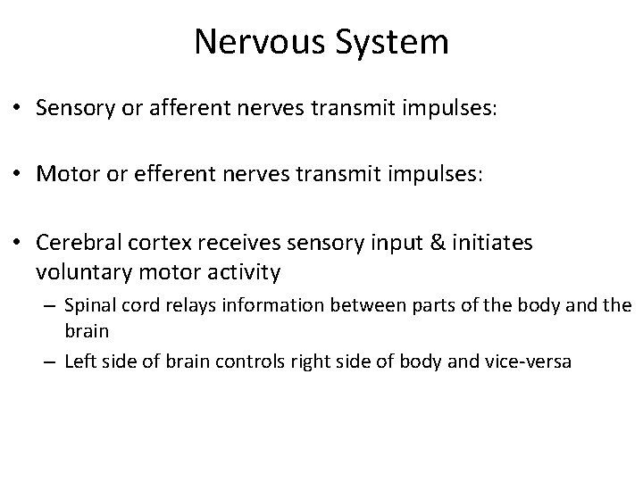 Nervous System • Sensory or afferent nerves transmit impulses: • Motor or efferent nerves