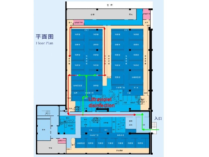 Ultraviolet disinfection 