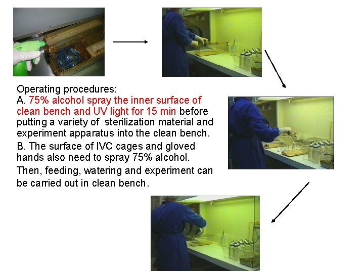 Operating procedures: A. 75% alcohol spray the inner surface of clean bench and UV