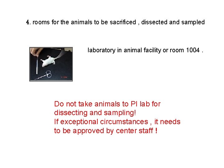 4. rooms for the animals to be sacrificed , dissected and sampled laboratory in